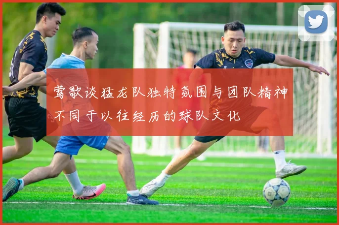 莺歌谈猛龙队独特氛围与团队精神不同于以往经历的球队文化
